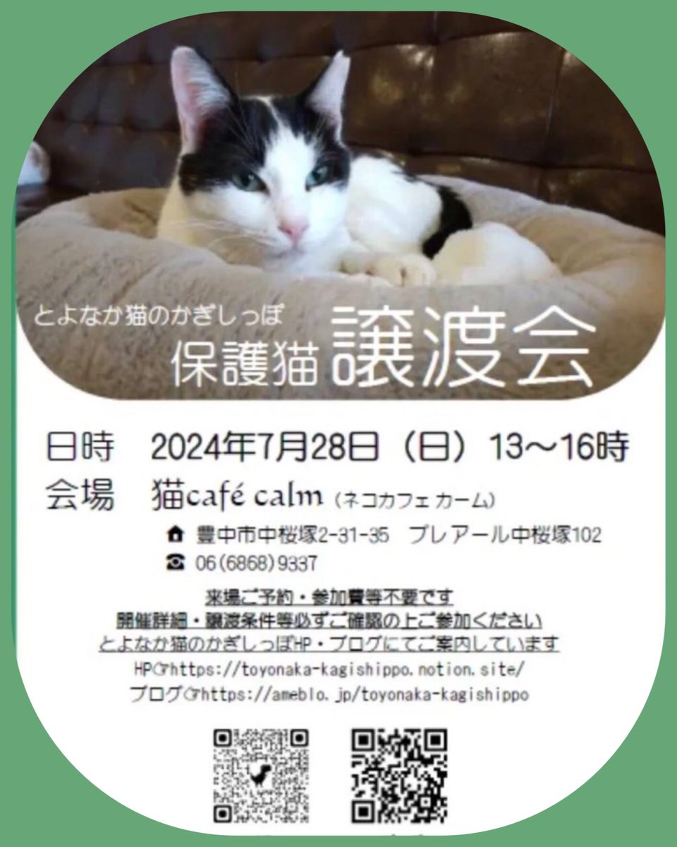 ddreedd's tweet photo. 13時から始まりますよ〜🌻🐈🐈‍⬛ https://t.co/Qy9y6MewCt