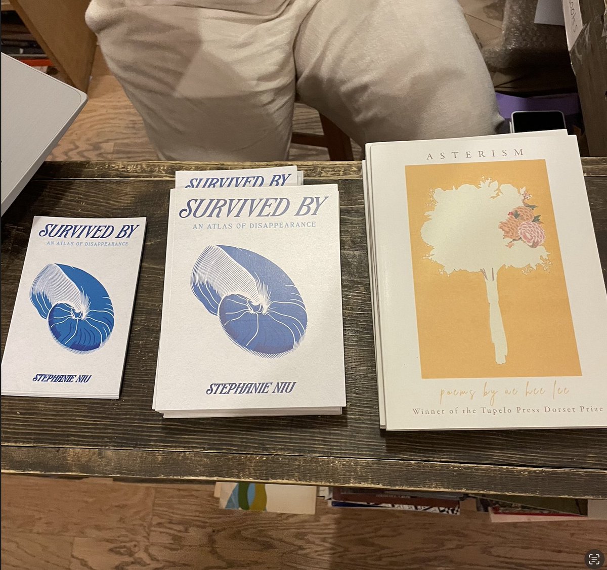 a great pleasure to read alongside <a href="/Alonso99/">Alonso Llerena</a> @aeheelee at <a href="/UnnameableB/">unnameable books</a> last week 💛 we had an intimate crowd amid birdsong and talked about the history of quinoa and eels, among other things. thanks Unnameable Books for hosting us!