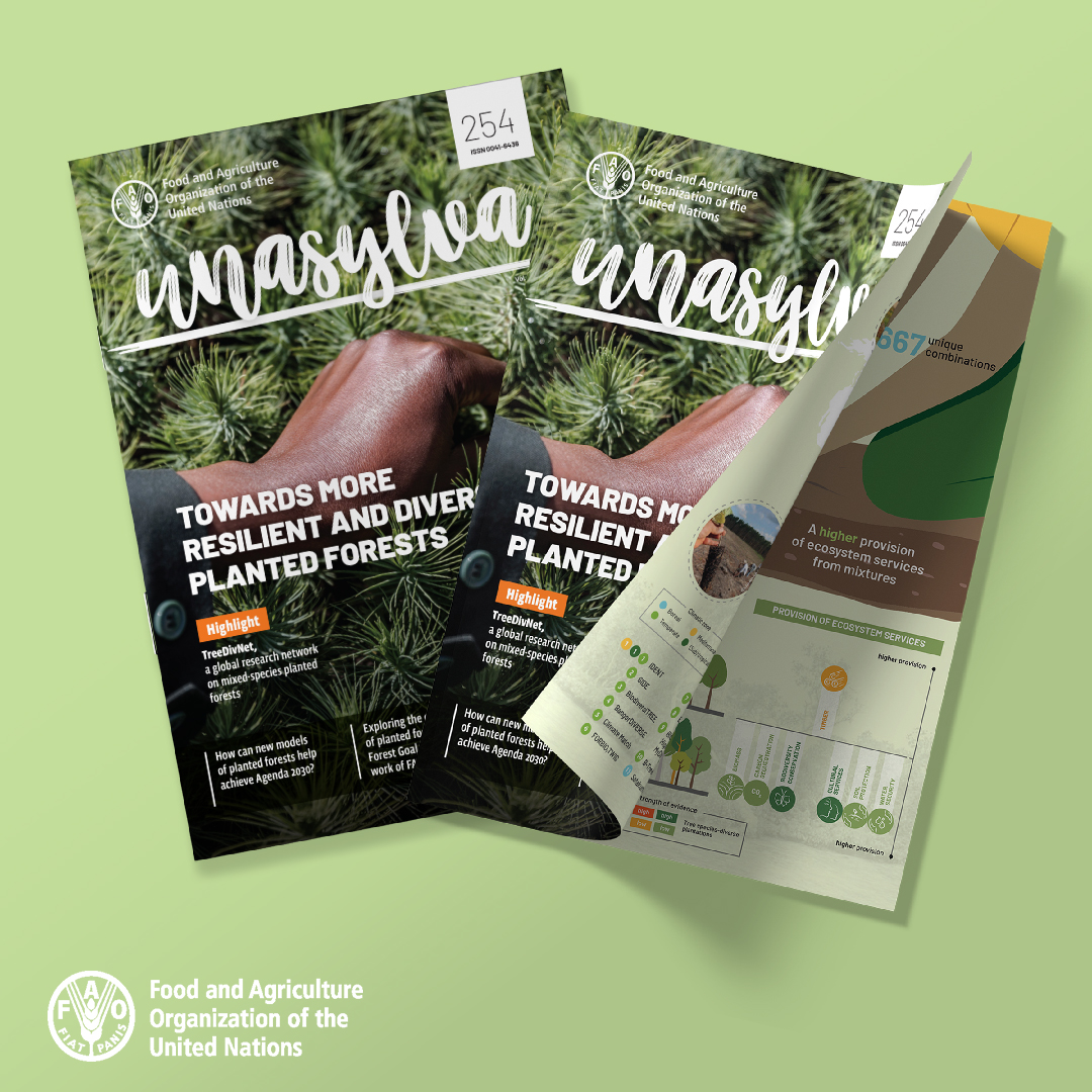FAOForestry's tweet photo. Well designed and sustainably managed #PlantedForests have a vital role to play in meeting the #SDGs
Find out how and why in the latest edition of FAO’s forestry journal, #Unasylva #254: Towards more resilient and diverse planted forests
https://t.co/9bFD1OXOdF https://t.co/B5yDwv62R0