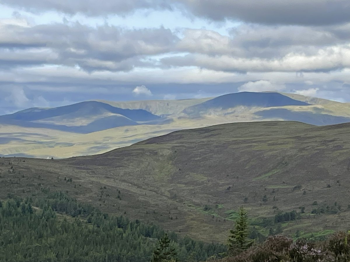 Innes Haughey @raggedtrouseredphilanthropists tweet media