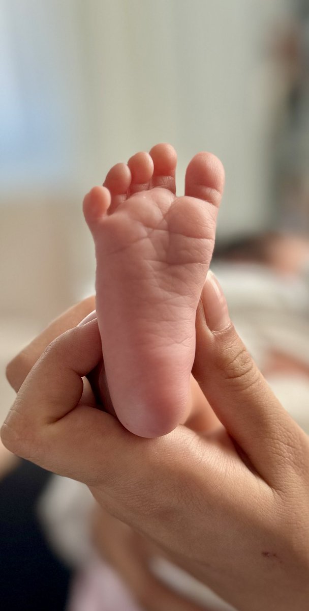 Ne tatlı şeysin sen oğlum🫛☘️