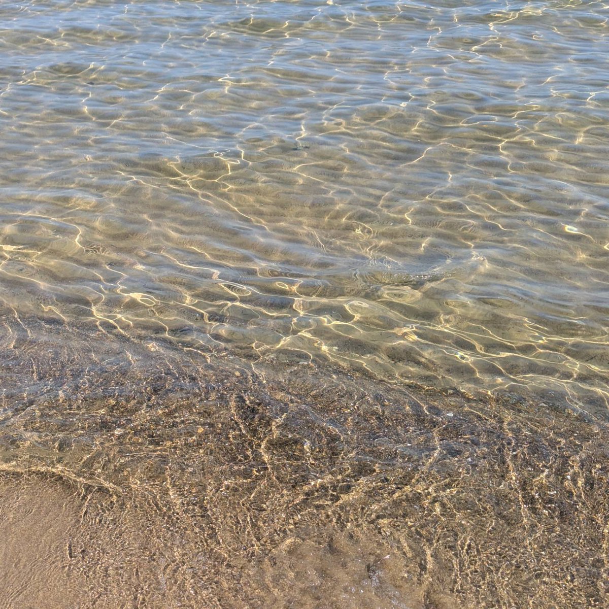 MarcoMeschis's tweet image. Hard life but someone has to do it.
#MediterraneanLife. #LivingByTheSea.
