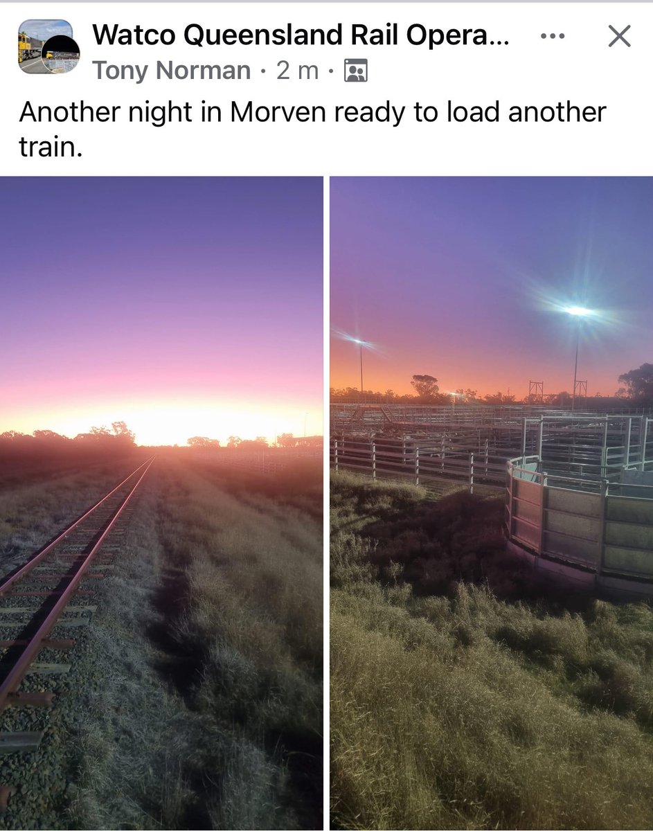 cattle_train's tweet photo. Thanks Tony and thanks ⁦@TeysAustralia⁩ and Paraway Pastoral Co for your ongoing business and support. Thanks also to Mick Smith &amp; his team doing an awesome job in some pretty chilly weather! Big numbers and growing. https://t.co/CLqLouFxuL