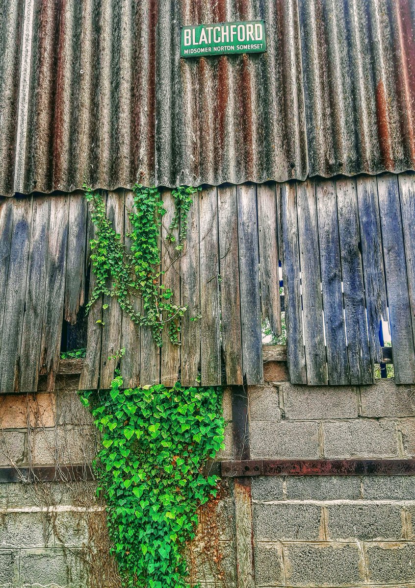 Farm building at Chewton Keynsham, Somerset. Pretty certain the pre-1994 Popular Side cover at Plainmoor was put up by a company from Midsomer Norton. Must have been them? Similar design too. #tufc #torquay <a href="/swsportsnews/">South West Sports News</a>