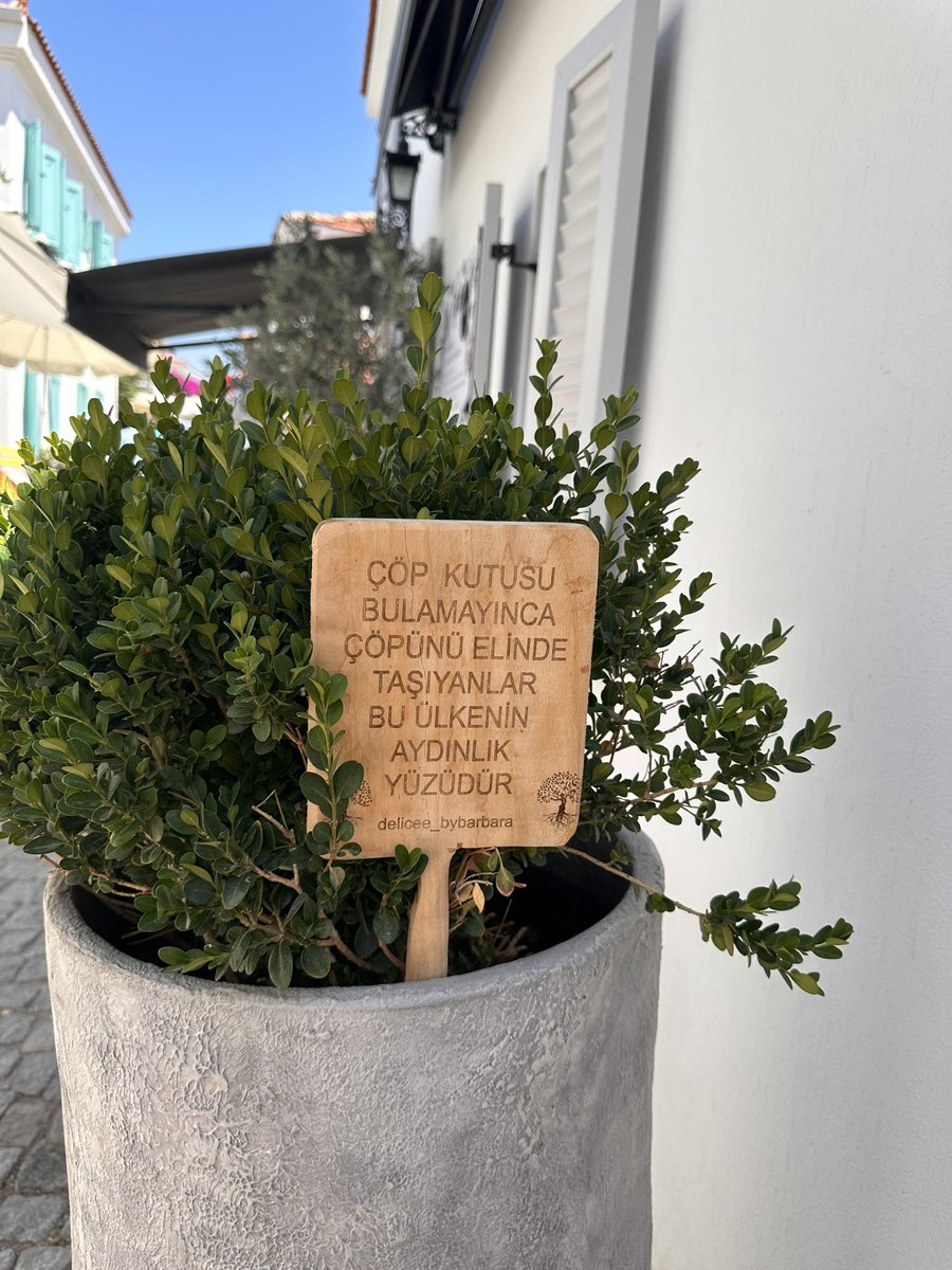 Son zamanlarda saksılara sigara izmariti atılmamasıyla alakalı bir çok  uyarı yazısı takılması yaygınlaştı. Bizler daha duyarlı olarak saksıları çöp sigara söndüreceğimiz ve atacağımız yerler haline getirmezsek daha doğru olur diye düşünüyorum.  #temiz #türkiye