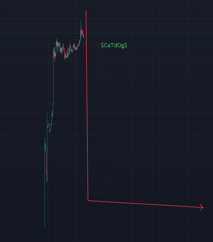 mooon_ace's tweet photo. It will probably appear like this soon $CATDOG 😂 #scamdog #MEMECOİNS #crypto https://t.co/NM4VnvJdAM