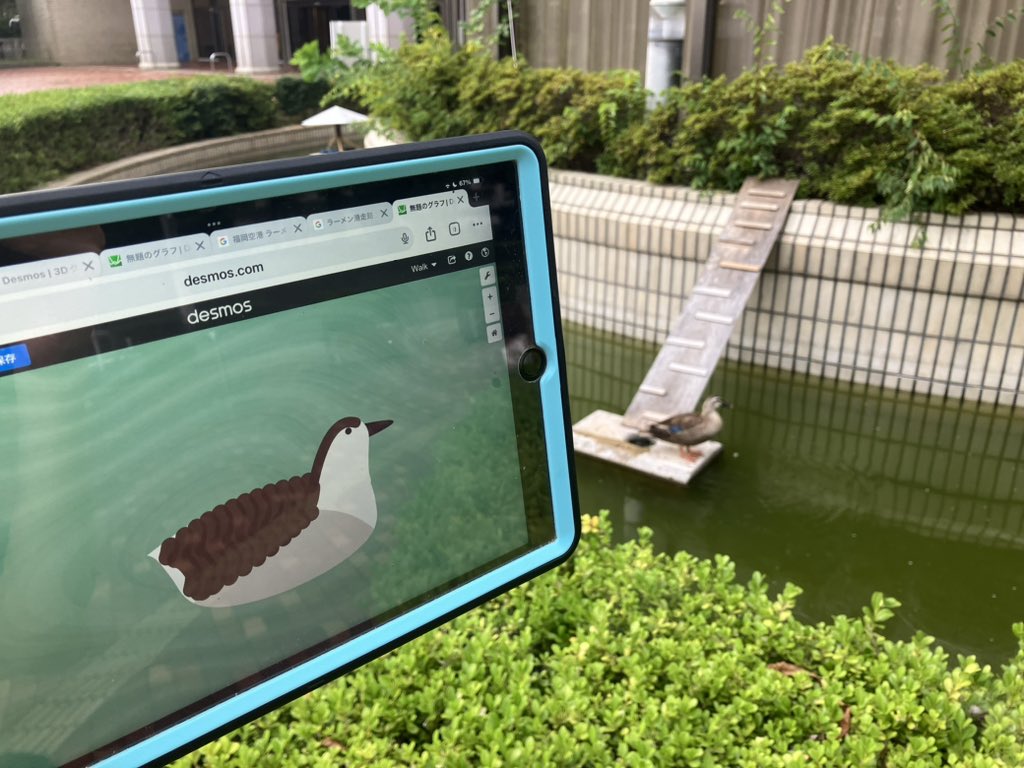 morningwalk123's tweet image. 鴨を関数アートで作りました！水面を見て欲しいです(鴨本体は満足行ってない)！
#関数アート #mathinreality