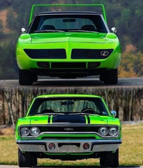 mayfair-england tweet media