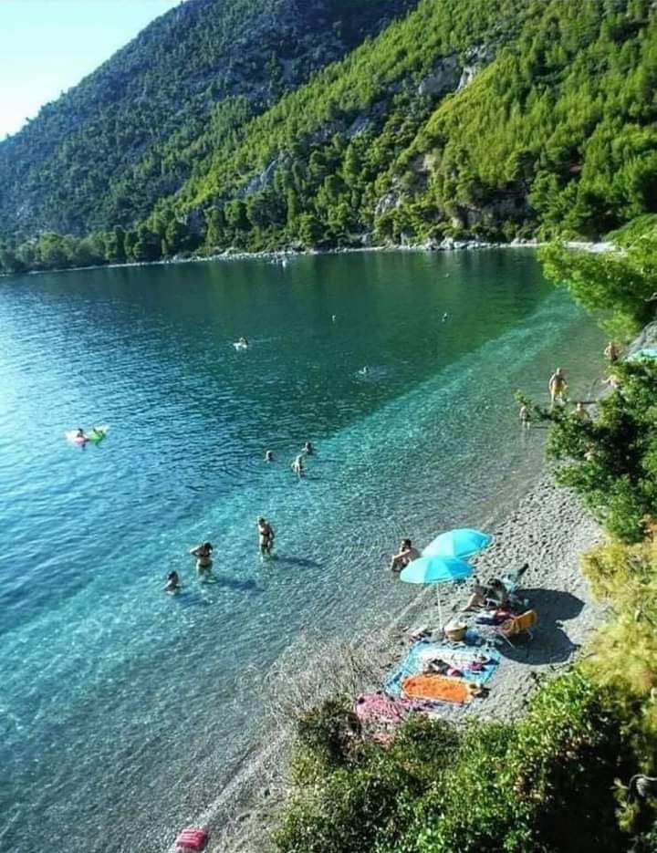 "Άφηνε ελεύθερους όσους αγαπάς.
Ισχυρή αλυσίδα η ελευθερία.."

Καλημέρα σας ❤️❤️❤️ 

Δάφνη Νεροτριβιας, Εύβοια 🇬🇷