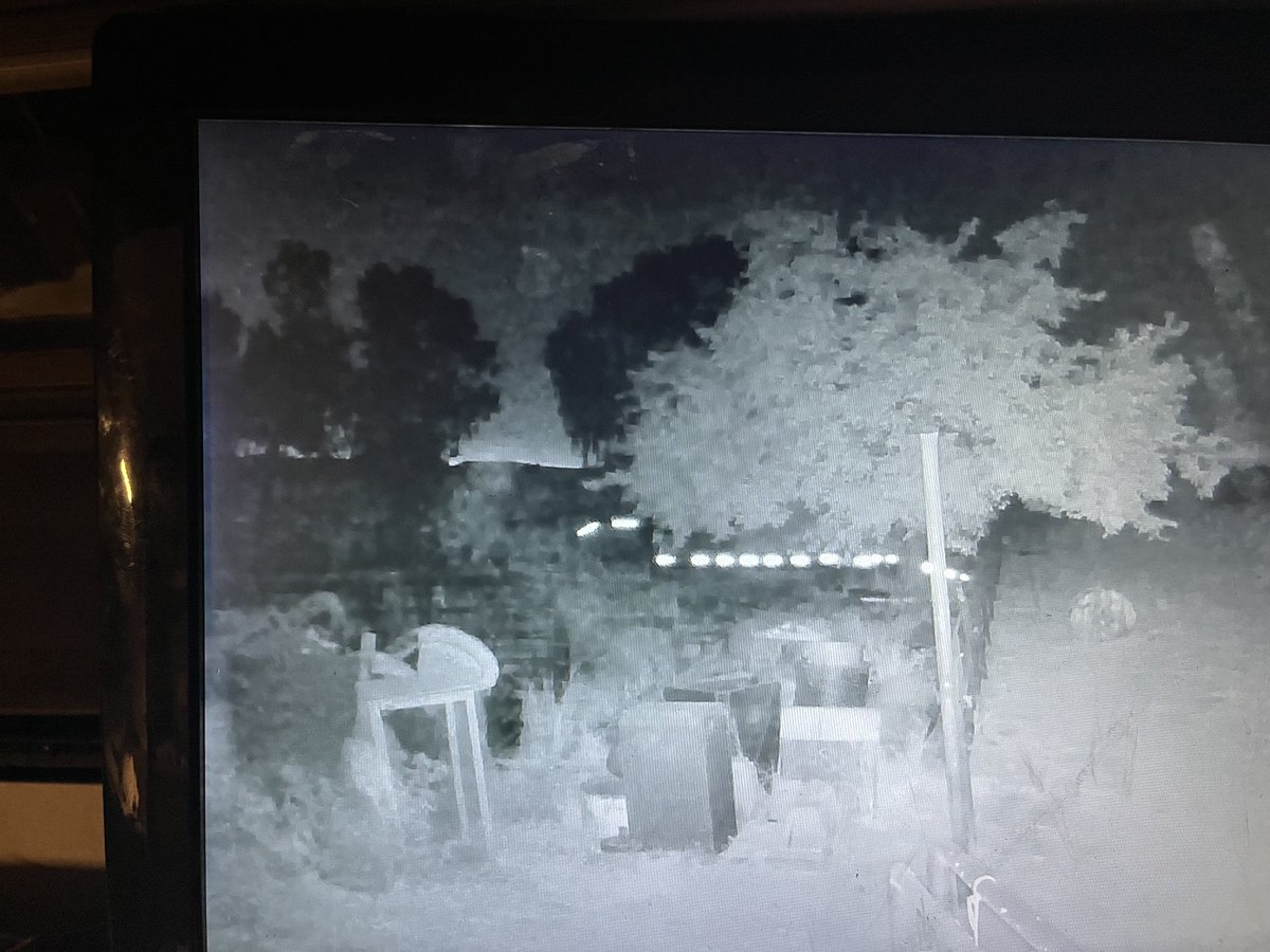 note that tonight main activity to the left of front tree, to the left of reflectors on the trailer