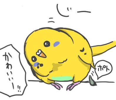 かわいいかわいい言いながら💩取ってたらこっち見ながら💩しててかわいかった 