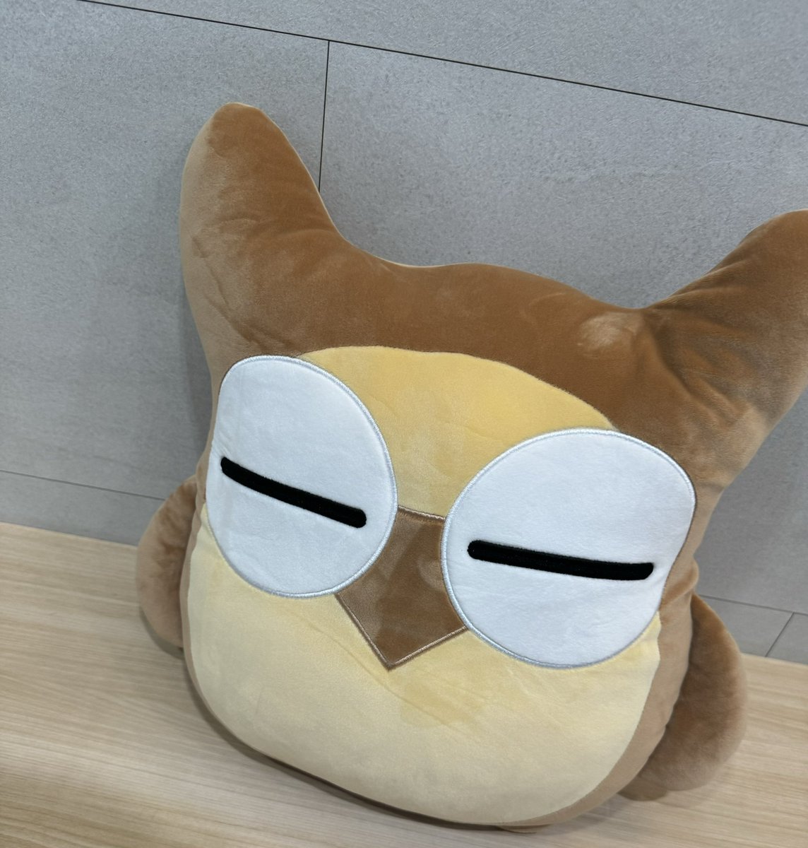 시대인재에서 부엉이를 줬어,, 🦉