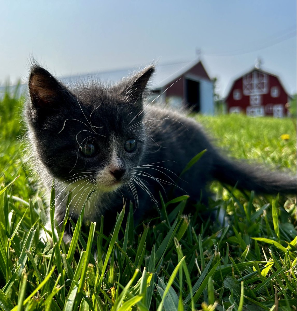 𝔈𝔩𝔦𝔷𝔞 tweet media