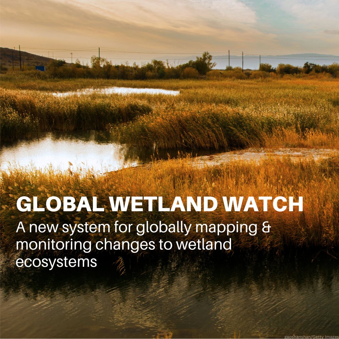 UNEP's tweet photo. Over 80% of the planet’s wetlands have been lost, mainly due to a lack of accurate and accessible data.

The Global Wetland Watch aims to close this data gap &amp; reprioritize the protection of these vital ecosystems.

https://t.co/8O0o5X43Sf https://t.co/uPCVBFOVuc