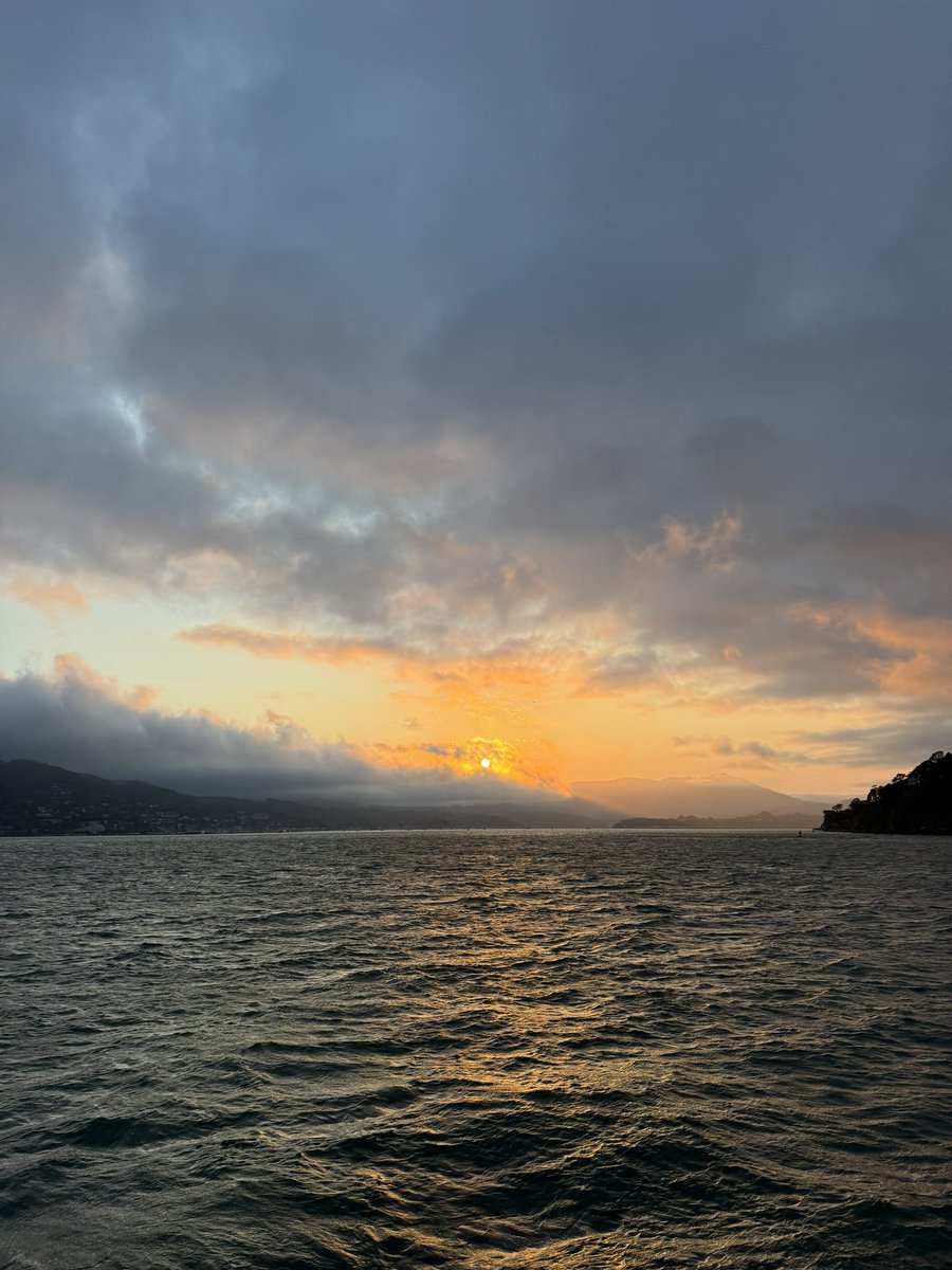 Tonight was just 😍 #sunset #cruise #tiburon