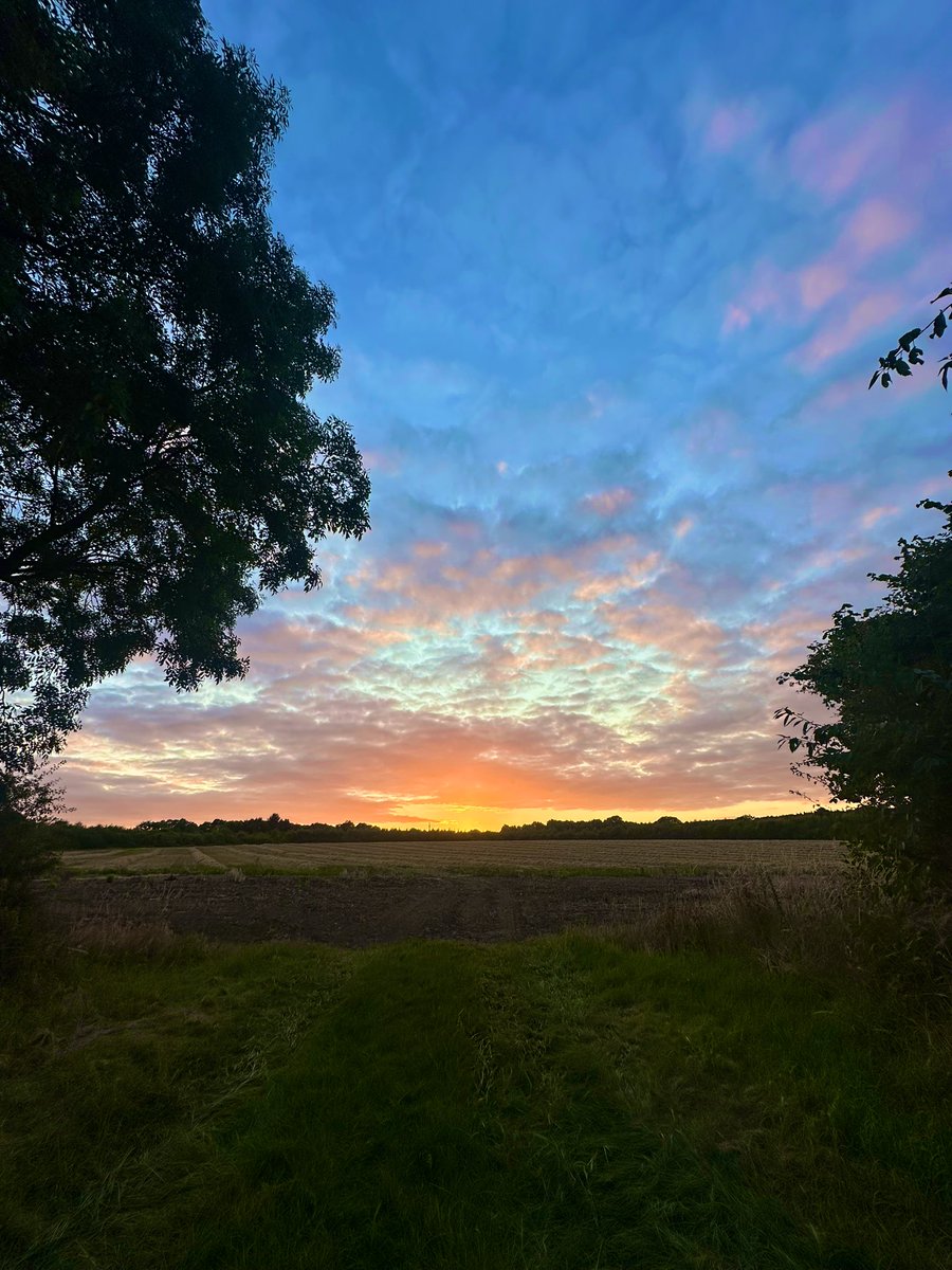 Rav Billan tweet media