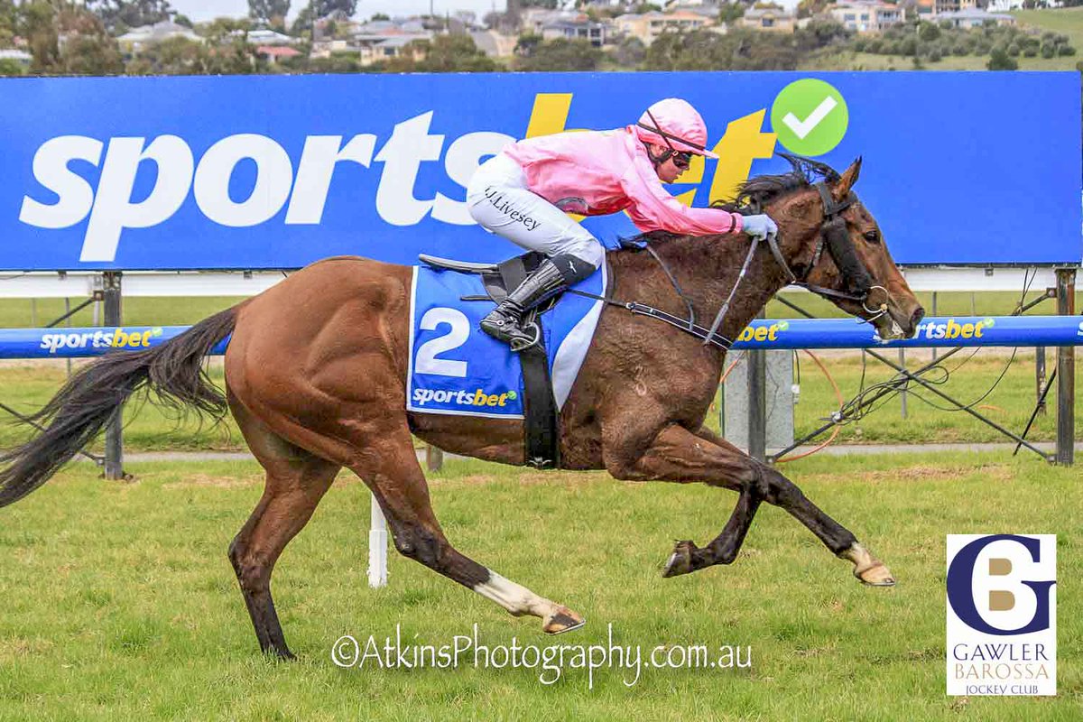 Terry Hann (@terry_hann) on Twitter photo Alana Livesey won the Matrix Solar Solutions Three-Year-Old Maiden Plate at Gawler on the Ryan Balfour trained Quanah.
Photos ~ AtkinsPhotography.com.au
Downloads ~ AtkinsRacing.com.au
<a href="/RacingSA/">Racing SA</a> <a href="/CountryRacingSA/">Country Racing SA</a> <a href="/Gawlerjockey/">Gawler Jockey Club</a> <a href="/BalfourRyan/">Ryan Balfour</a> Alana Livesey won the Matrix Solar Solutions Three-Year-Old Maiden Plate at Gawler on the Ryan Balfour trained Quanah.
Photos ~ AtkinsPhotography.com.au
Downloads ~ AtkinsRacing.com.au
<a href="/RacingSA/">Racing SA</a> <a href="/CountryRacingSA/">Country Racing SA</a> <a href="/Gawlerjockey/">Gawler Jockey Club</a> <a href="/BalfourRyan/">Ryan Balfour</a>