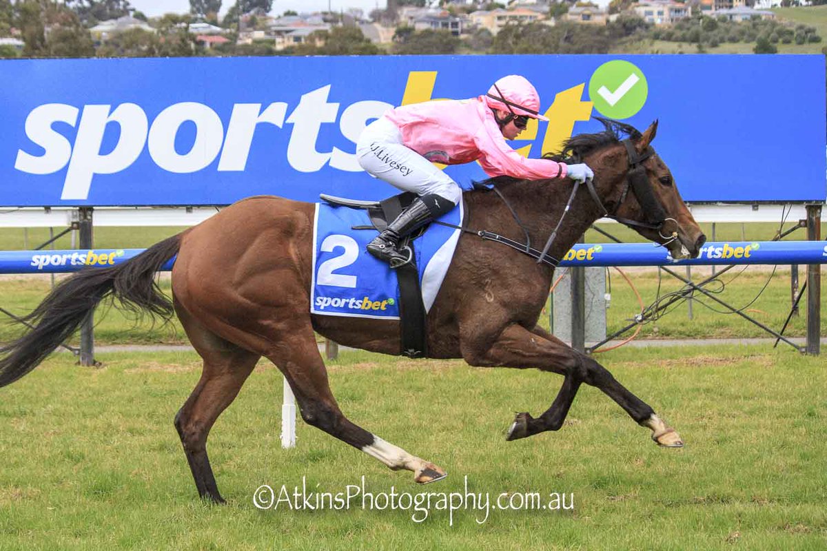 SA Racehorse Owners (SAROA) (@s_saroa) on Twitter photo A really nice maiden win on debut for Quanah. The Palentino three year old was bred by the Satchell family who retain part ownership. He is trained by Ryan Balfour and was well ridden by stable apprentice Alana Livesey.
<a href="/BalfourRyan/">Ryan Balfour</a> A really nice maiden win on debut for Quanah. The Palentino three year old was bred by the Satchell family who retain part ownership. He is trained by Ryan Balfour and was well ridden by stable apprentice Alana Livesey.
<a href="/BalfourRyan/">Ryan Balfour</a>