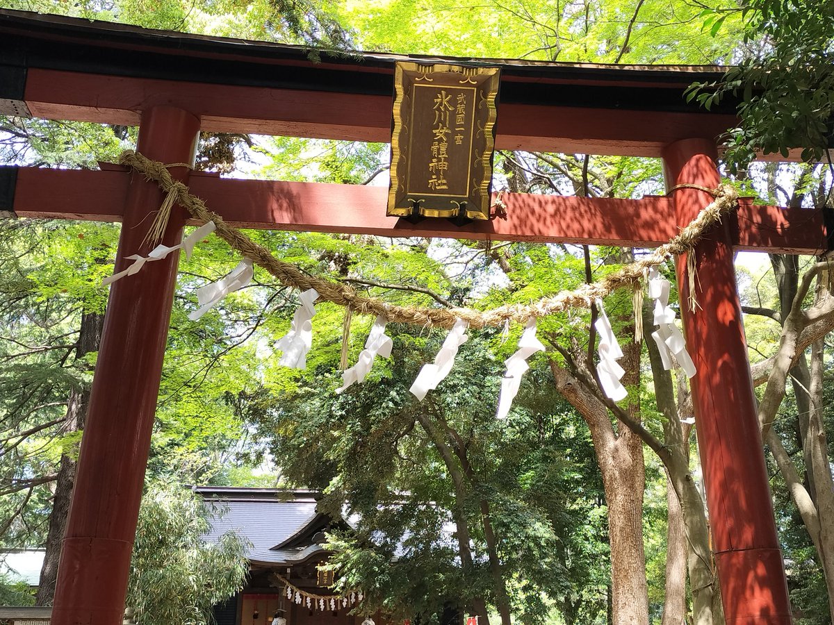 rosamoss3918's tweet photo. 氷川３社　氷川神社　氷川中山神社　氷川女體神社
共に御祭神は、素戔嗚命　稲田姫命　大己貴命
2000年を超える創建とされ、直線上に並ぶこれらの今も在る神社を訪れると　
かつての武蔵国が想像よりも栄えていたのかもと思えます🌿 https://t.co/pJrbX1229f