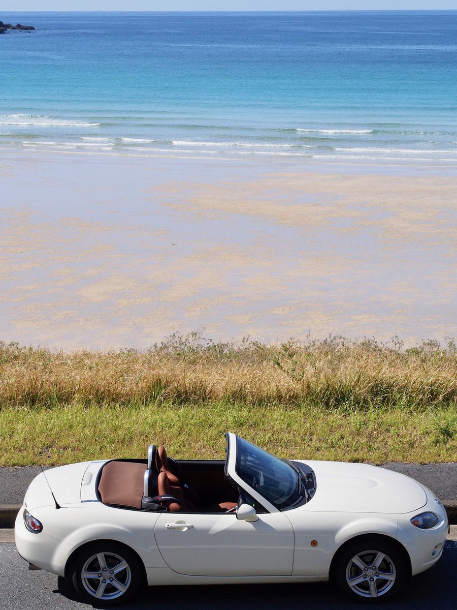 黒ノ助 tweet media