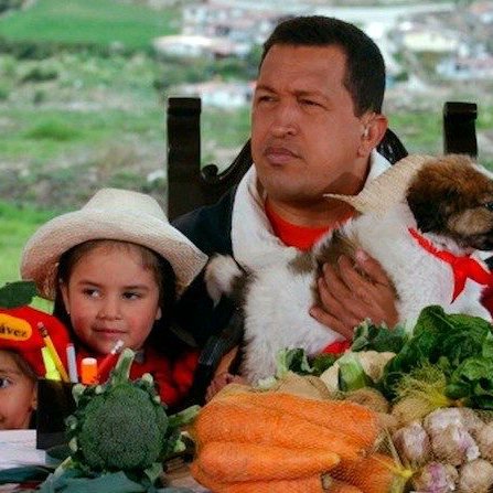 Sunagro Apure tweet media