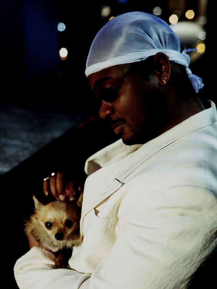 仮面ライダー図鑑 on X: 