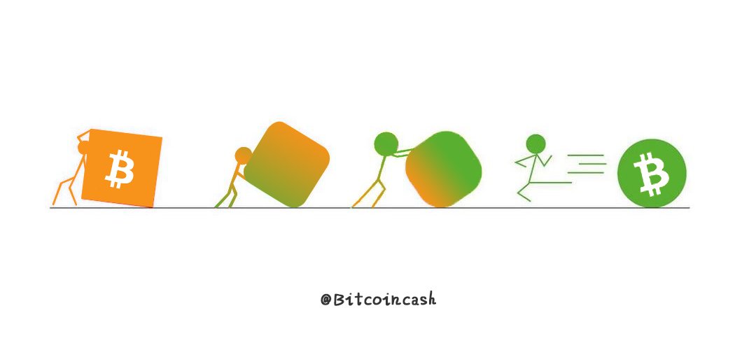 夏小栀 tweet media