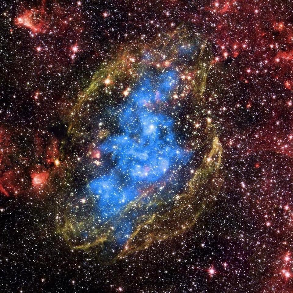 Cron_Silenzio's tweet photo. #W44 è un residuo di supernova in espansione situato a circa 9.000 anni luce dalla Terra nella costellazione dell’Aquila. https://t.co/KvB7DUnf7f