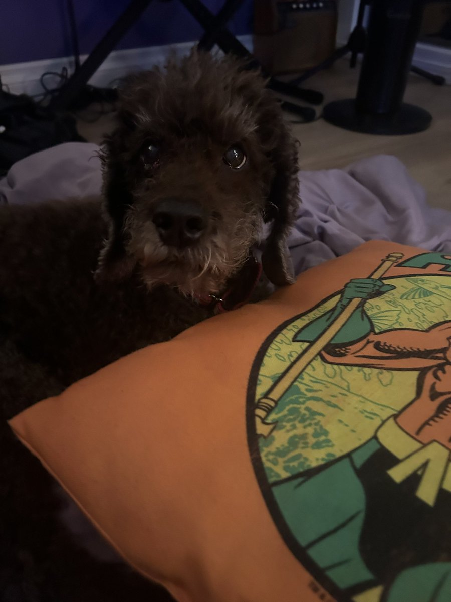 My 1st day OFF in 2024! I work non-stop for years now. I played MUSIC ALL DAY LONG! It was the BEST! #katyamusic