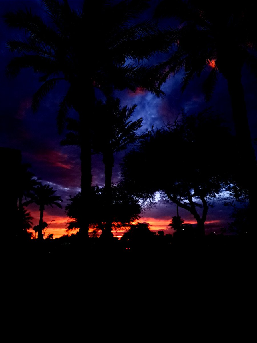 SkillarPillar's tweet photo. Death inspires me like a dog inspires a rabbit

#Arizona #sunsetphotography #storm #trees #NatureBeauty #NaturePhotography #colorful https://t.co/Sq2QtaJ1CT