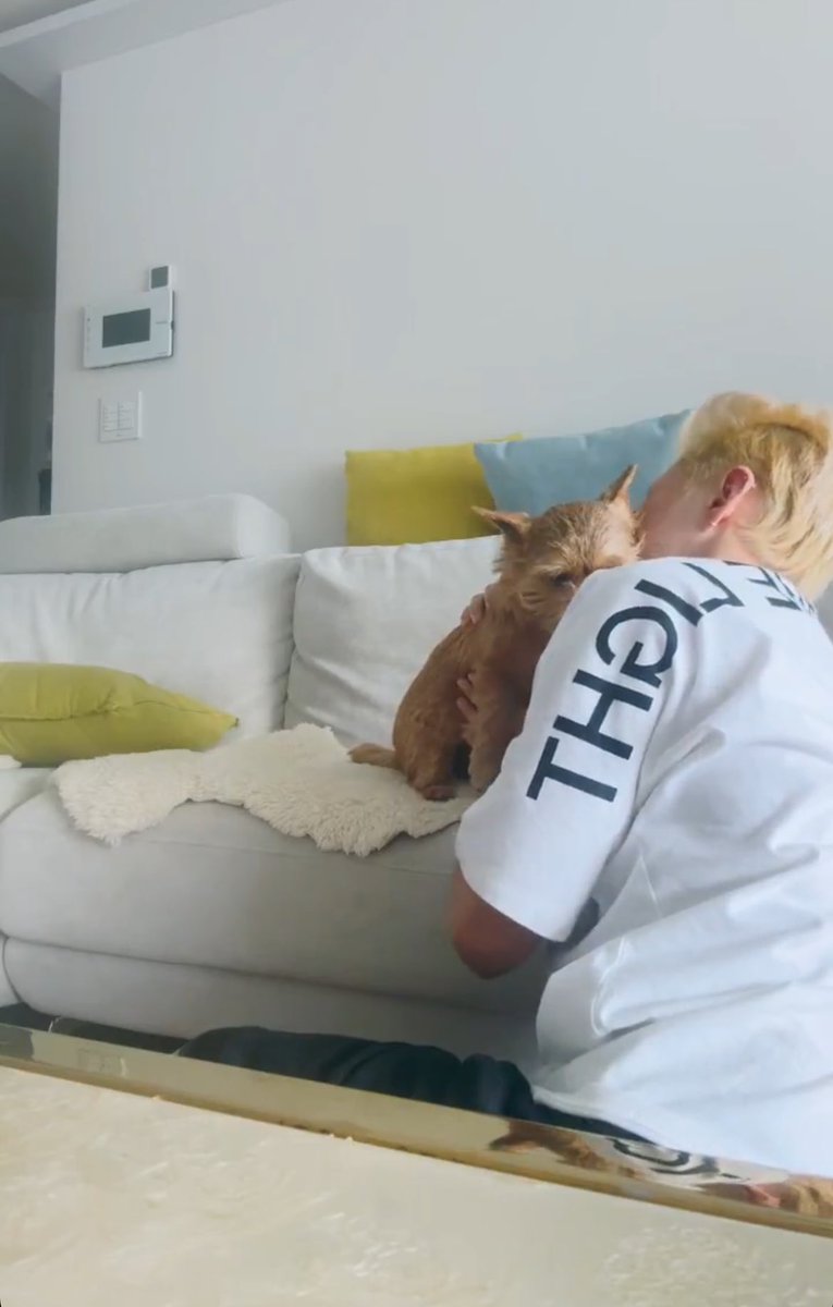 아니 ㅁㅊ 또 라이브 키자마자 라떼가 호시 핥핥 😭😭😭😭😭😭