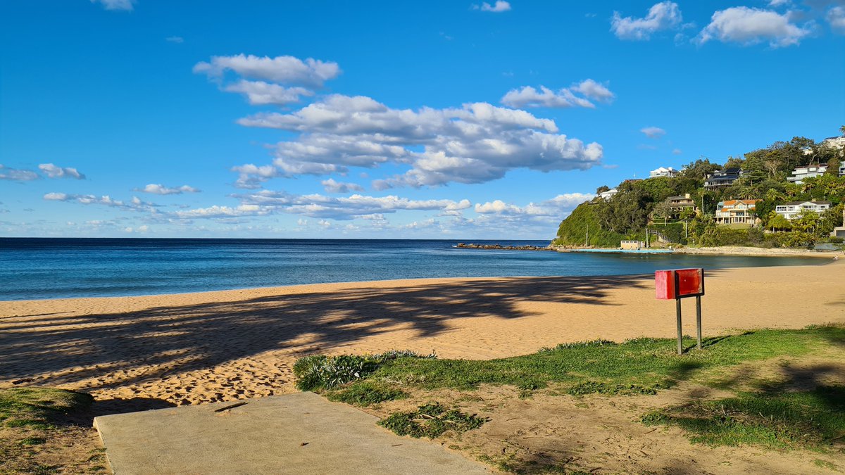 Will Hunting tweet media