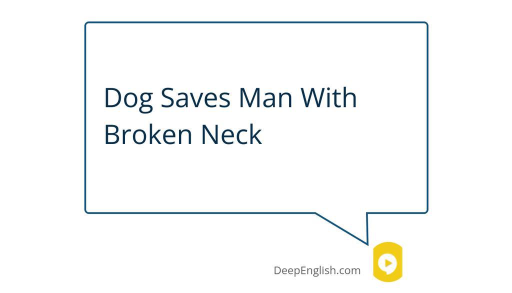 Deep_English's tweet image. No one heard him except for his dog Kelsey.

Read more 👉 lttr.ai/AVPSf

#BrokenNeck #NewYearsEve #DogHero #Heroes #Hero