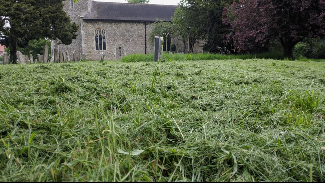 ecobadger's tweet photo. @NigelWitham @gandkchurch @godsacre @SW19Womble @georgecmcgavin @ChrisGPackham @B_Strawbridge @yvette_austinTV @bishopnorwich Marvellous! 🙄 Sadly our churchyard here in #Rendham suffolk has been massacred by the church wardens and the village "tidy brigade" for years now with no regard to advice and science led argument! It's now a barren sward of rank monoculture grass😥..
The photo is from #NoMowMay! https://t.co/k7sS53kxCD