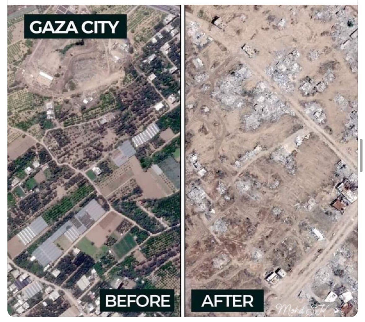 Mohamad Safa tweet media