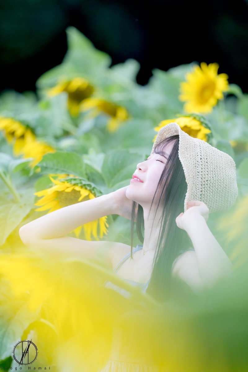 ShogoHamai's tweet photo. #ひまわり畑 #被写体募集中 #ポートレート撮影 https://t.co/2vUFxBWGlQ