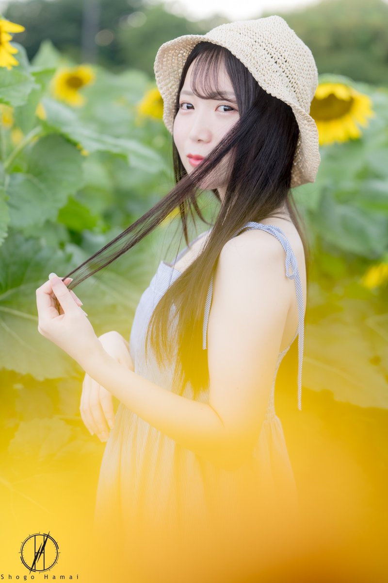 ShogoHamai's tweet photo. #ひまわり畑 #被写体募集中 #ポートレート撮影 https://t.co/2vUFxBWGlQ
