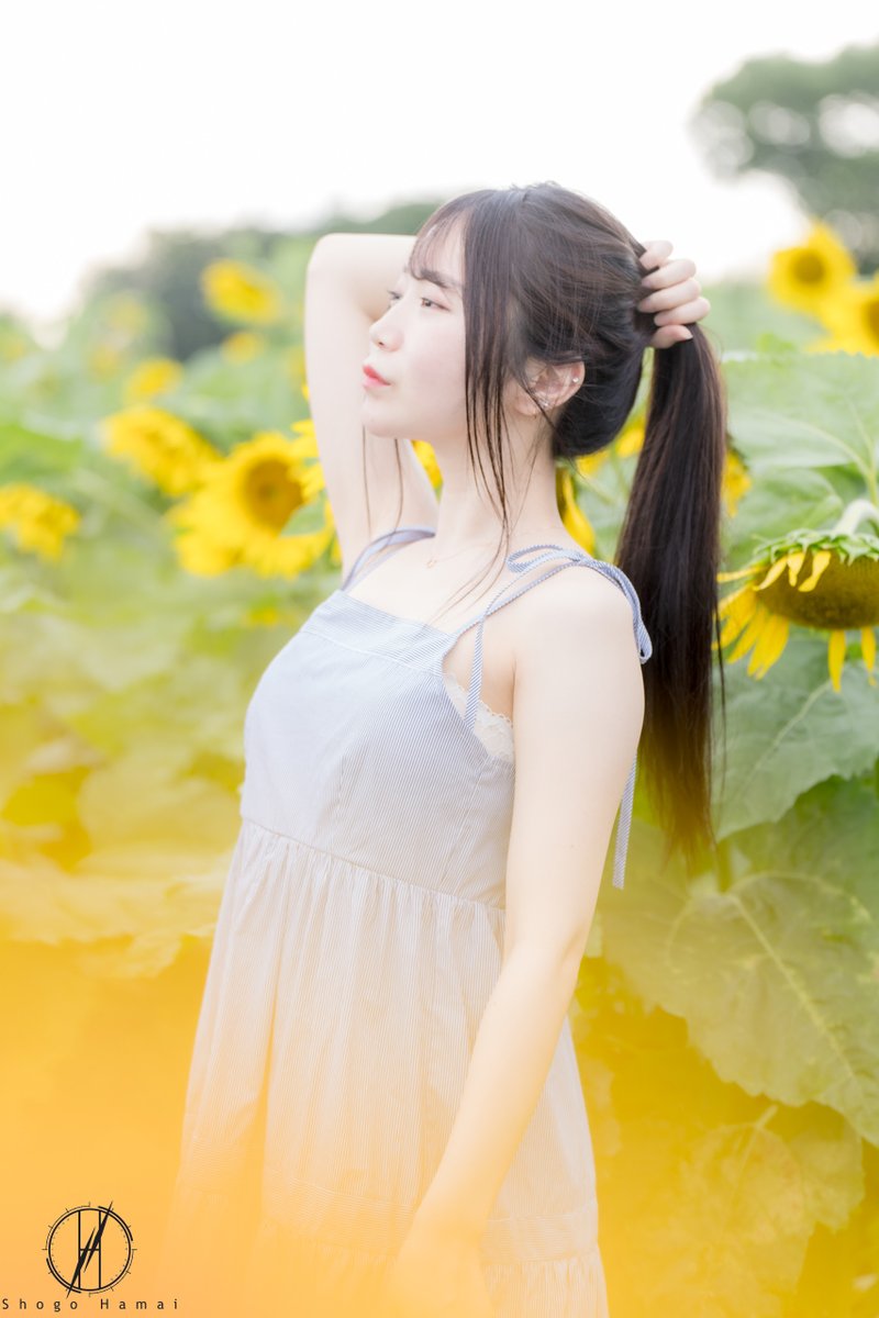 ShogoHamai's tweet photo. #ひまわり畑 #被写体募集中 #ポートレート撮影 https://t.co/2vUFxBWGlQ