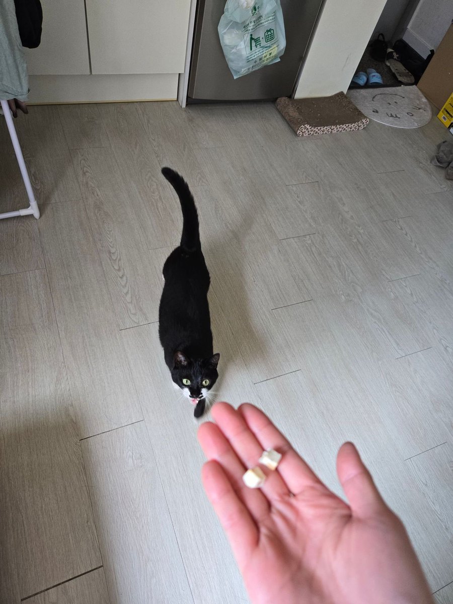 시터님이 보내주신 사진인데
진짜 졸라 다급해보임