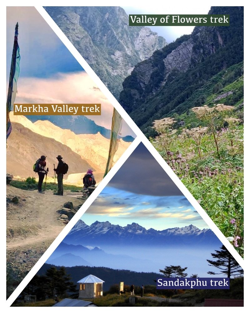 Discover the magic of the Himalayas with Life Away From Life! Join us for 3 incredible treks

1. Valley of Flowers Trek - Uttarakhand in Aug
2. Markha Valley Trek - Ladakh in Sept
3. Sandakphu Trek -West Bengal in Oct

WhatsApp or call 7718058351

#Trekking #Himalayas