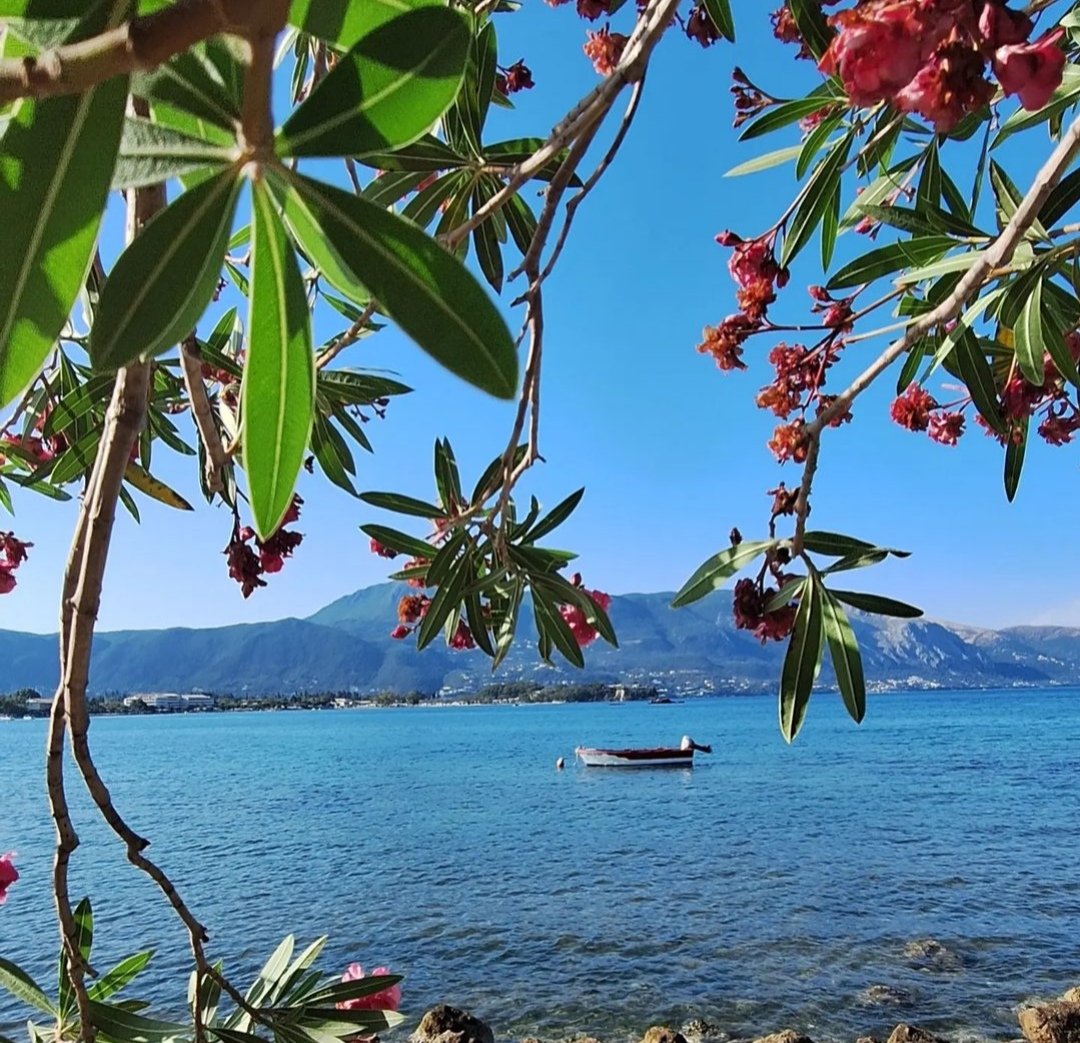 Όλες τού κόσμου οι Κυριακές 
Λάμπουν στο πρόσωπο σού 
Τί χρώματα τί μουσικές 
Μες στο χαμόγελο σού ❤️ 
Χ. Αλεξίου 🎤🎶🎶🎶🎶🎶🎶 

Καλημέρα όμορφη χαρούμενη Κυριακή με αγάπη 🌹 νά έχουμε 🌺