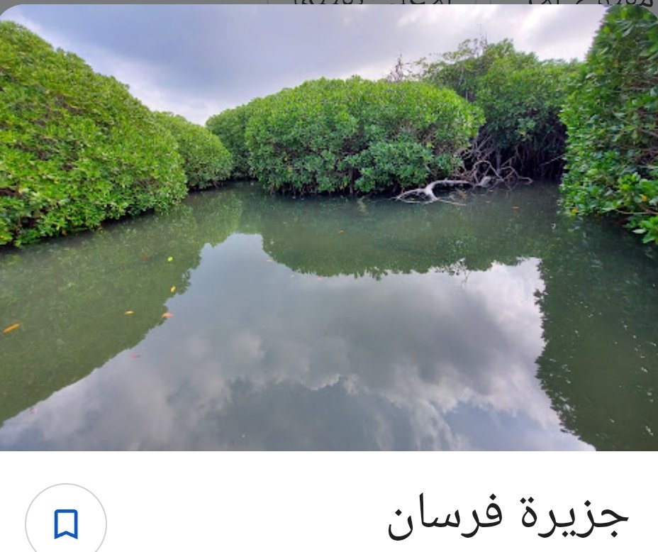 ittawy1's tweet photo. @VisitSaudiAR تابعت منشورات الحساب لمدة شهر كامل وبدقة متناهية وجدت فيه كل شيء عن دعم السياحة من شمال المملكة لجنوبها ومن غربها لشرقها .
 مع تجاهل كامل ومتعمد للسياحة في منطقة جازان .
سؤال هل جازان ضمن أجنداتكم للتريج السياحي ؟
وهل هذا الحساب فعلا رسمي ويمثل وزارة حكومية ؟ https://t.co/wdMBce0O4k