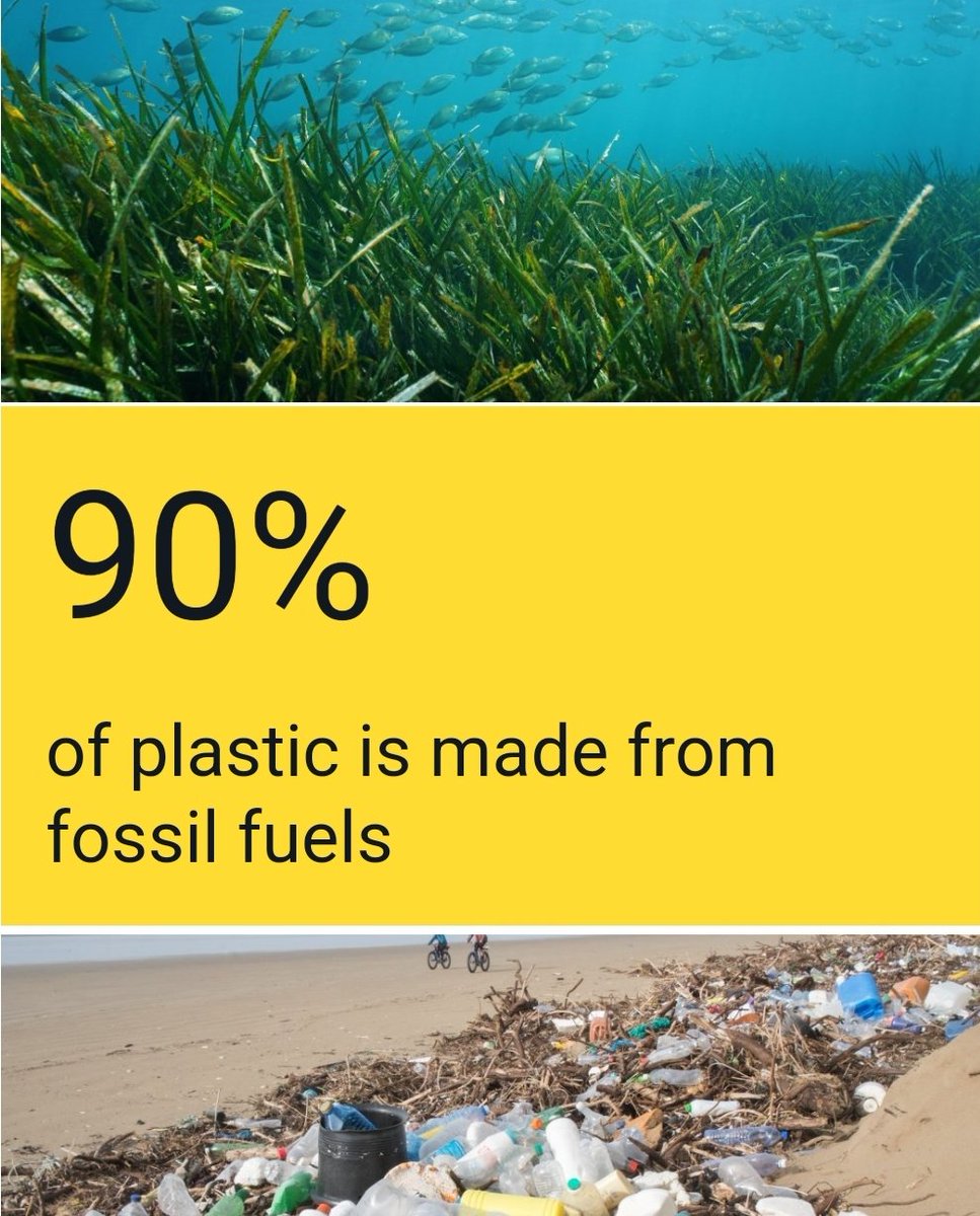 Did you know? 12 million tonnes of plastic finds its way into the ocean every single year. 9.5 million tonnes of this enters the ocean from the land with 1.75 tonnes being chucked into the sea directly from the fishing a shipping industry.
#plasticpollution #ClimateCrisis