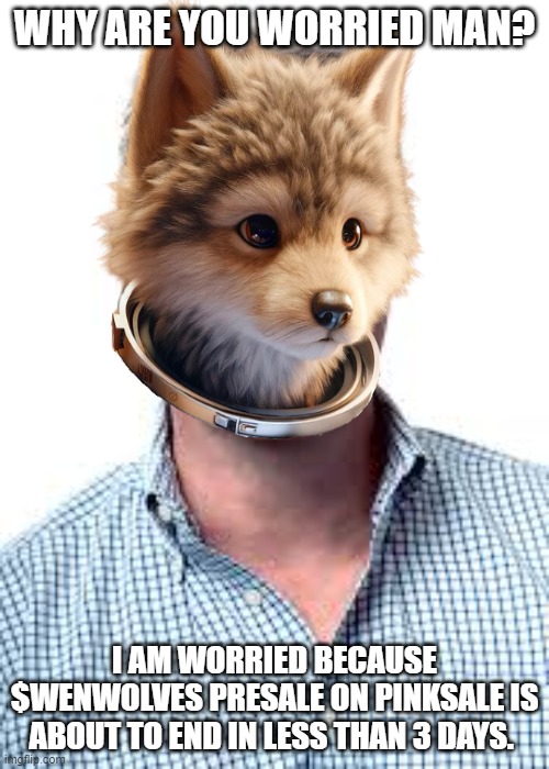 WenWolves tweet media