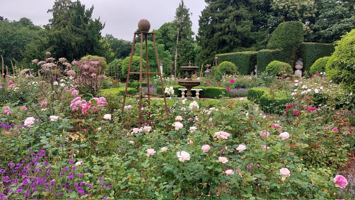 Good morning from Belvoir Castle @belvoircastle
<a href="/daviddomoney/">David Domoney</a> 
<a href="/jpmoseley/">Jonathan Moseley</a> 
<a href="/DAustinRoses/">David Austin Roses</a>