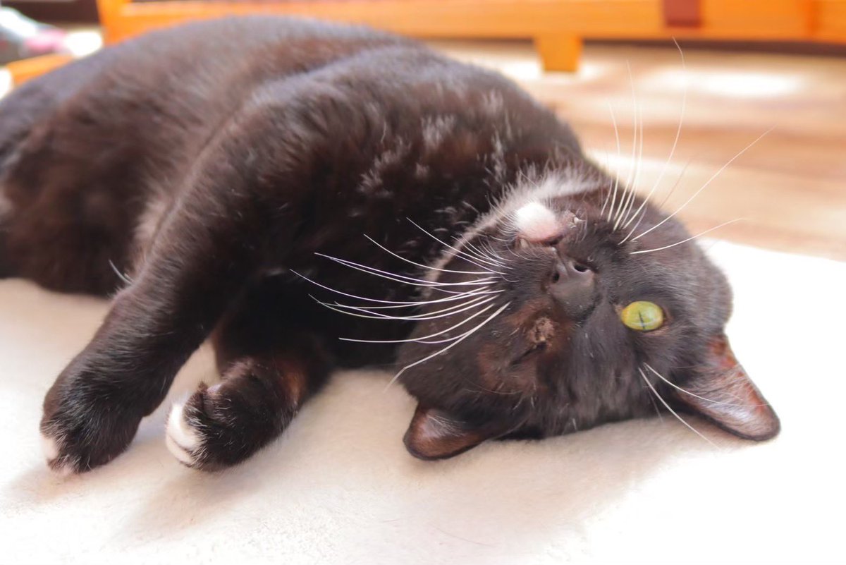 ディア・ウリエル🌟就労継続支援B型 tweet media