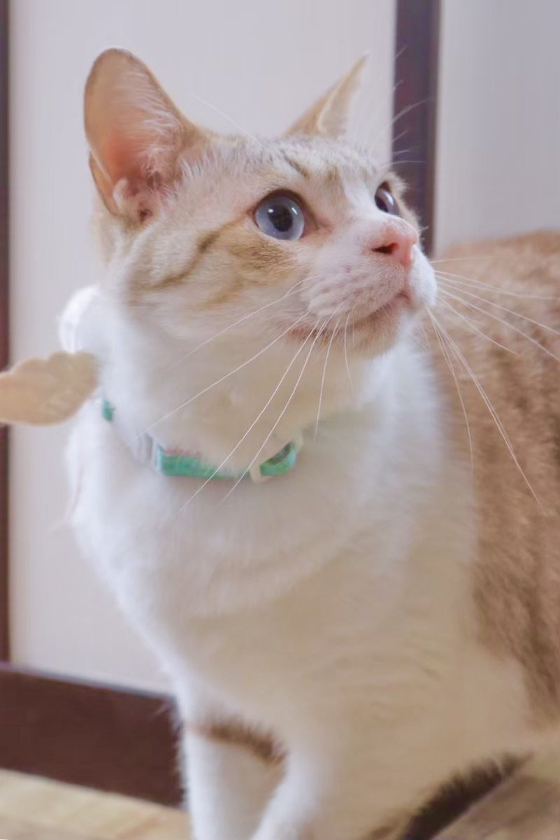 ディア・ウリエル🌟就労継続支援B型 tweet media