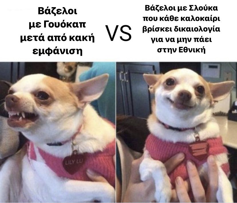 GallettiLuci's tweet photo. 😭😭😭 #olympiacosbc https://t.co/Rp4HffW6pO