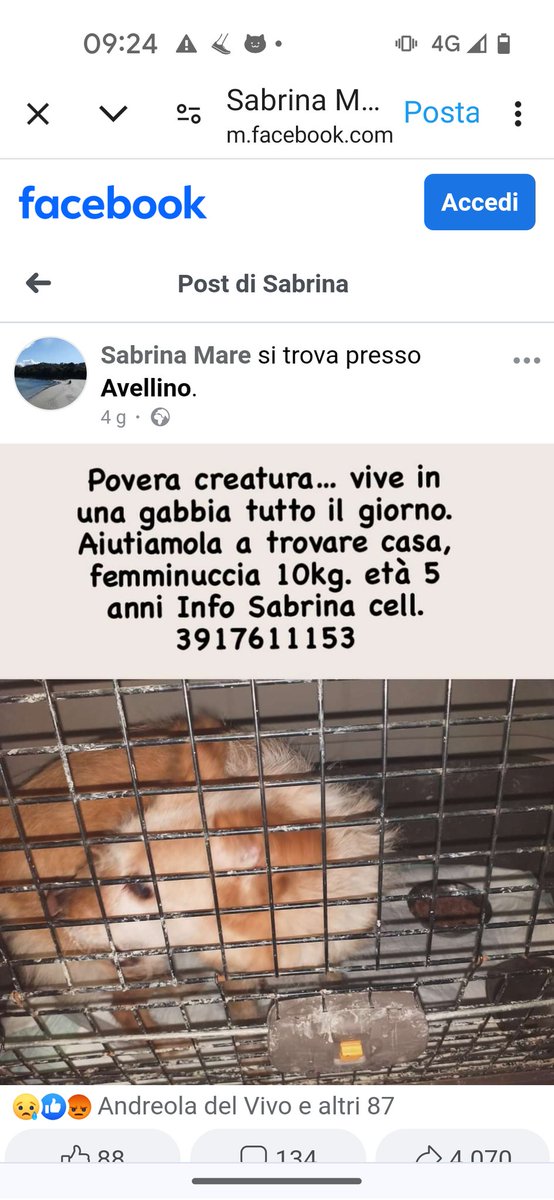 RT RT RT RT RT RT RT ♥️♥️♥️🙏♥️♥️🙏♥️🙏♥️🙏🙏♥️