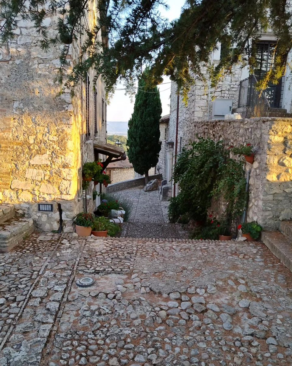 Francesco_Morra's tweet image. #Labro